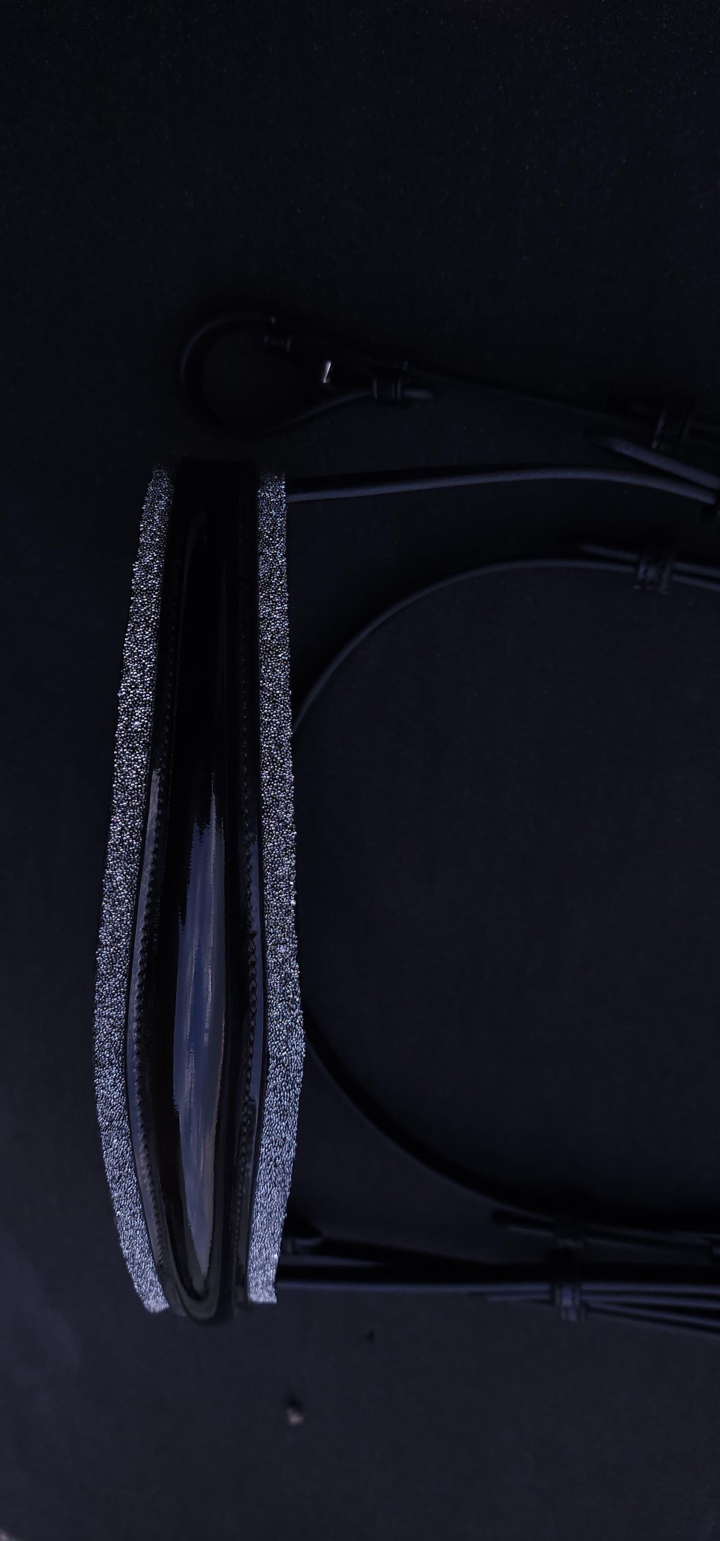Elysian Moonlight Dressyrträns